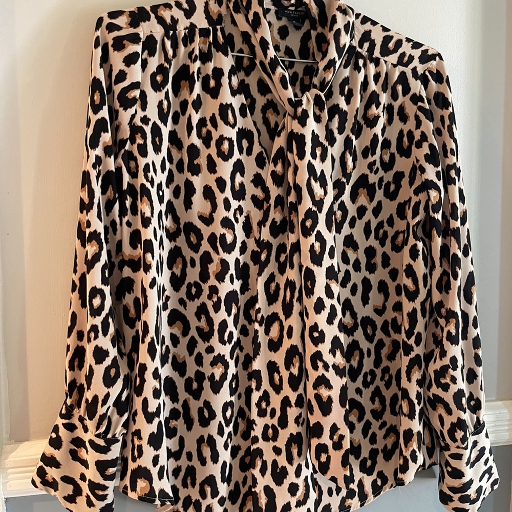Ann Taylor Zebra blouse